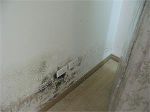 Sửa chữa nhà: Đục tường cũ và Trát lại